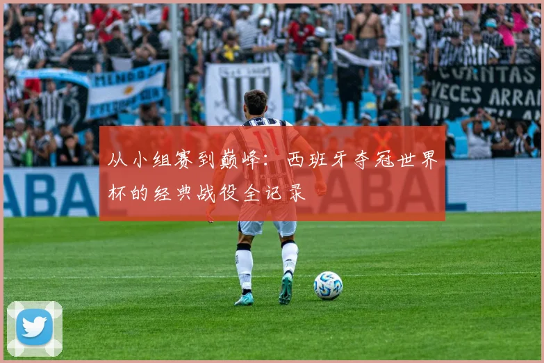 从小组赛到巅峰：西班牙夺冠世界杯的经典战役全记录
